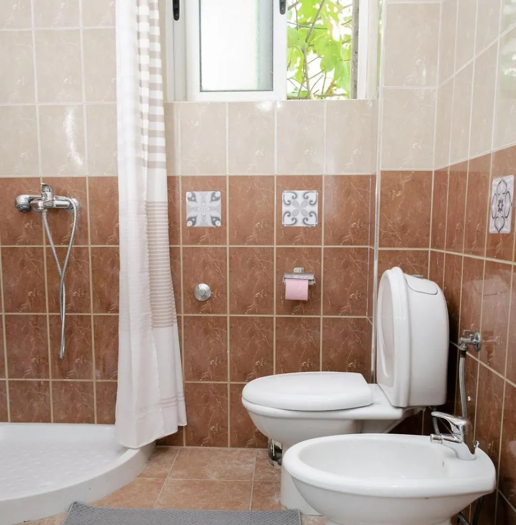 Central Tirana Apartment